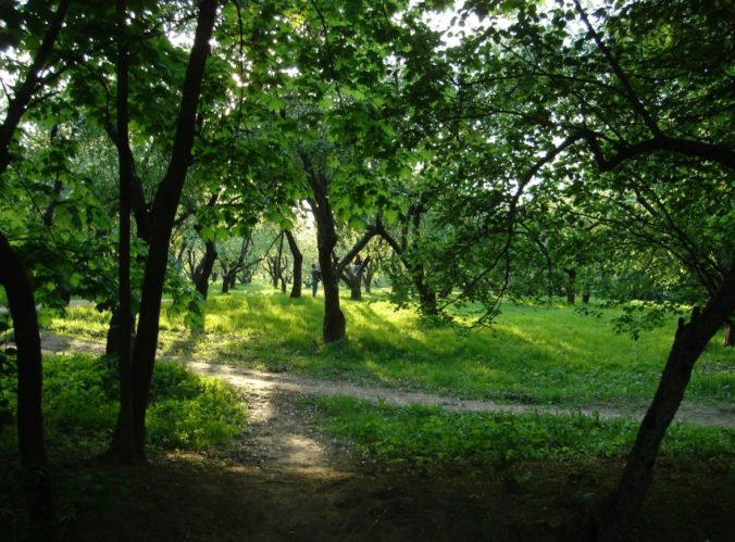 Коломенское