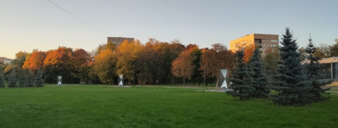 Черноголовка 